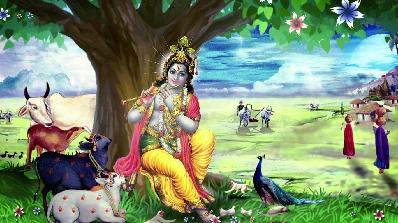 1366x768 Krishna With Cow HD Image HD Wallpaper