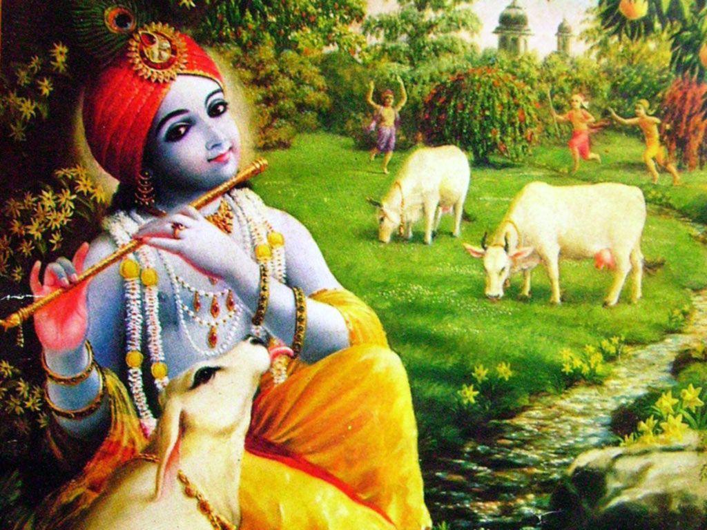1024x768 Free download Wallpaper Gallery Lord Krishna Wallpaper 3 [1024x768] for your Desktop, Mobile & Tablet. Explore Shri Krishna Wallpaper. Krishna Wallpaper, Krishna Wallpaper HD, Beautiful Krishna Wallpaper