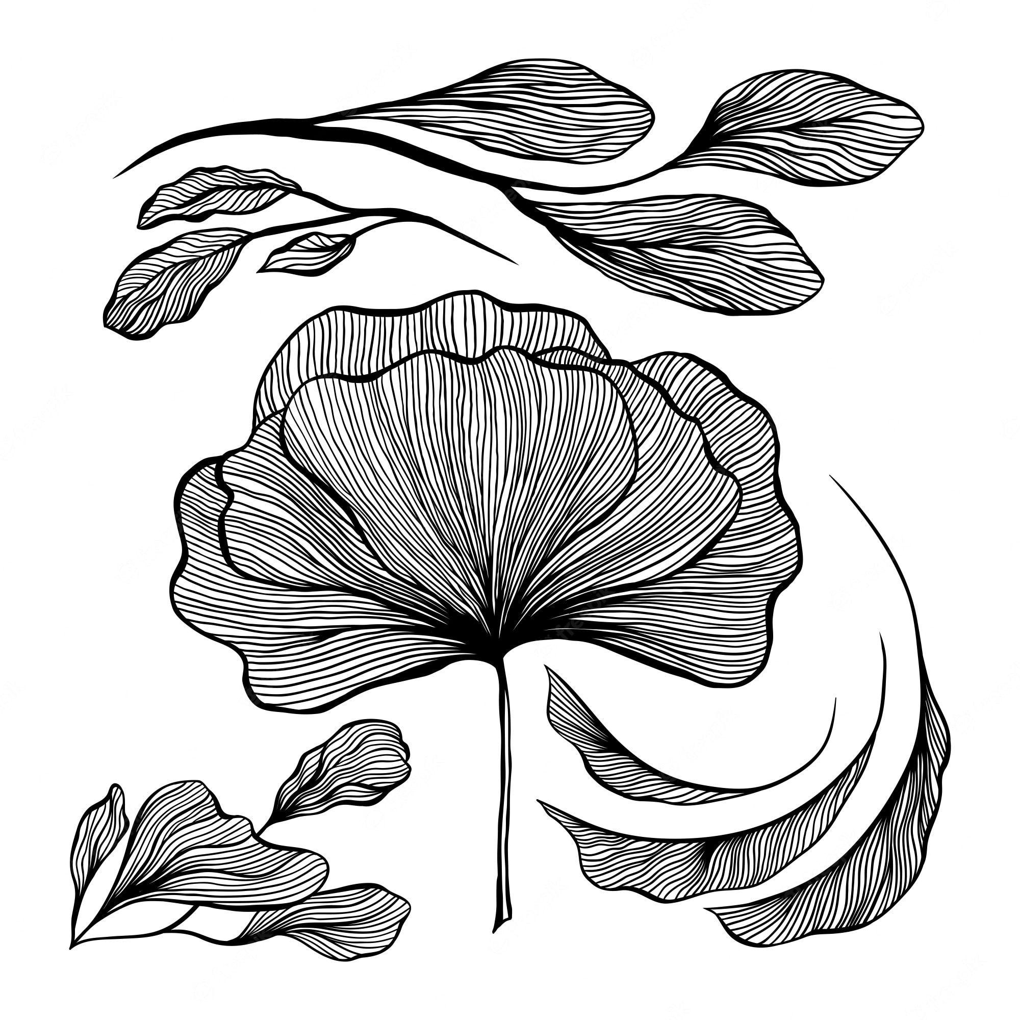 Abstract Line Art Wallpapers Top Free Abstract Line Art Backgrounds