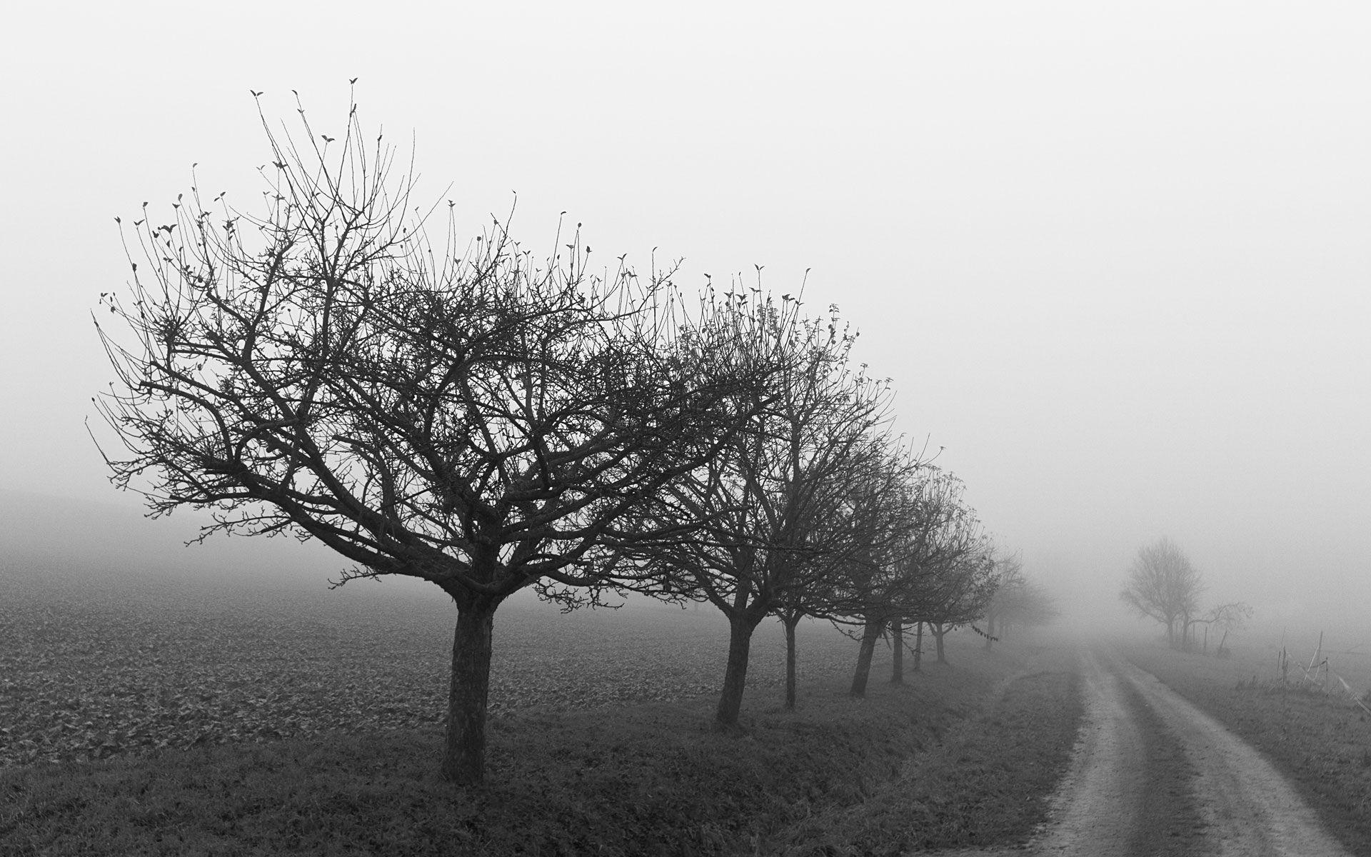 1920x1200 Depressing Rain Desktop Wallpaper Related Keywords & Suggestions