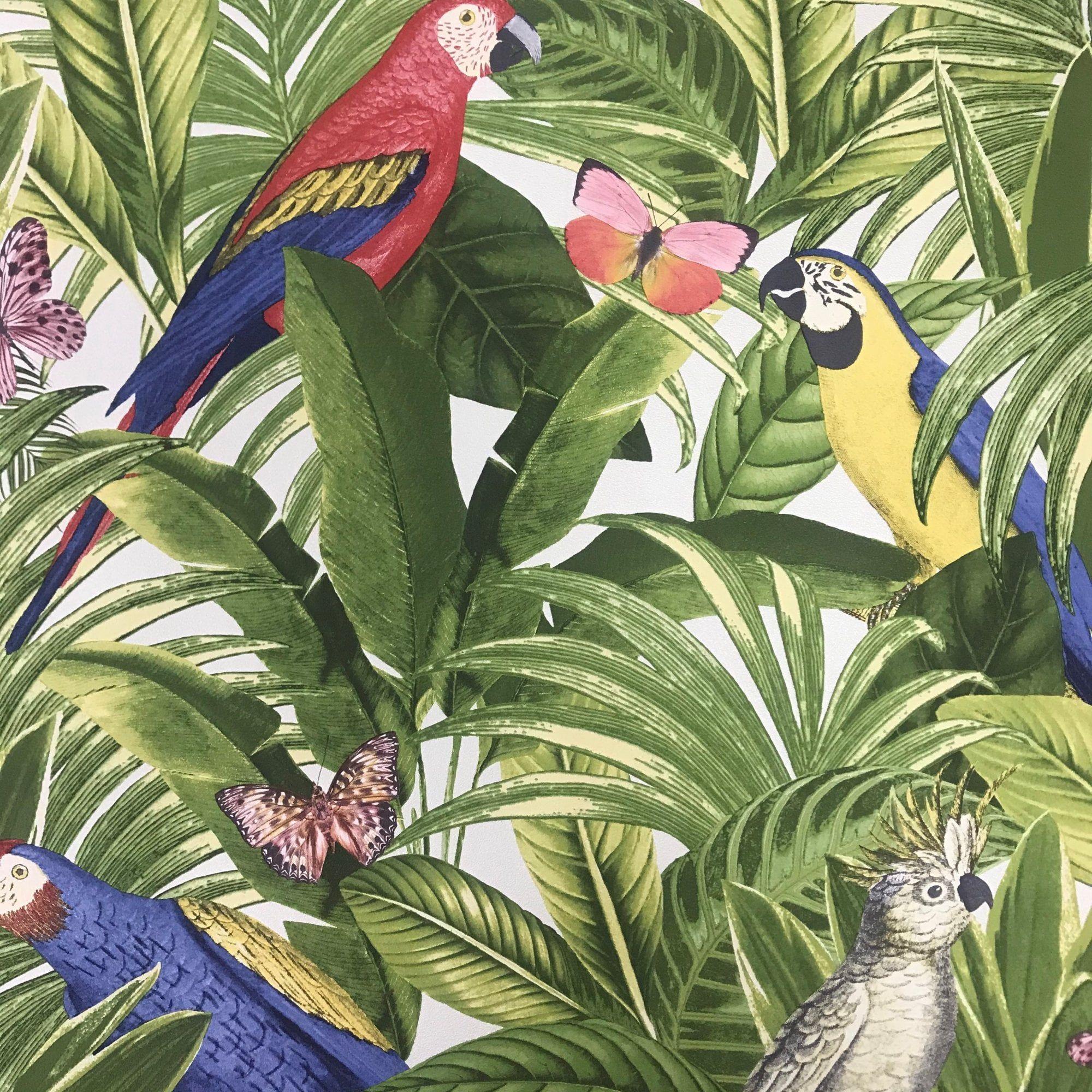 Parrot Backround Pattern Parrot Pattern Wallpapers - Top Free Parrot Pattern Backgrounds ...