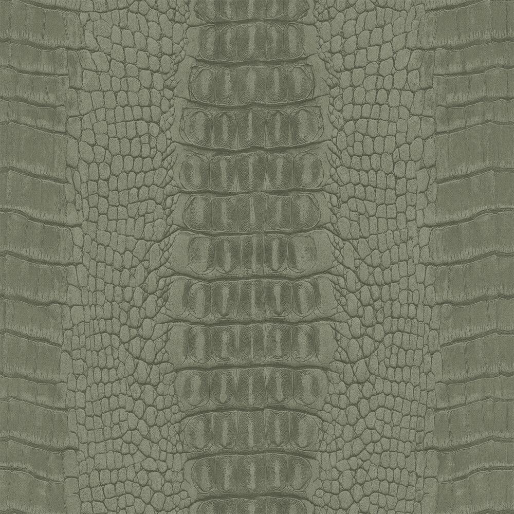 1000x1000 Wallpaper Crocodile Skin Gray Grained Olive Green