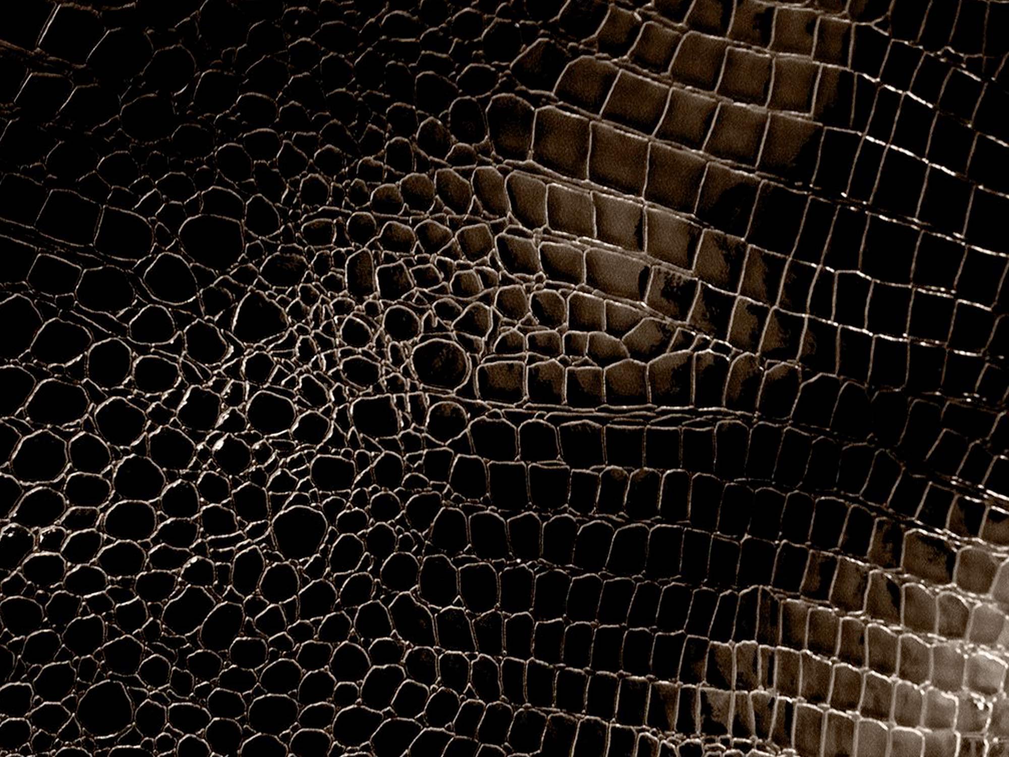 2000x1500 Crocodile Skin Wallpaper
