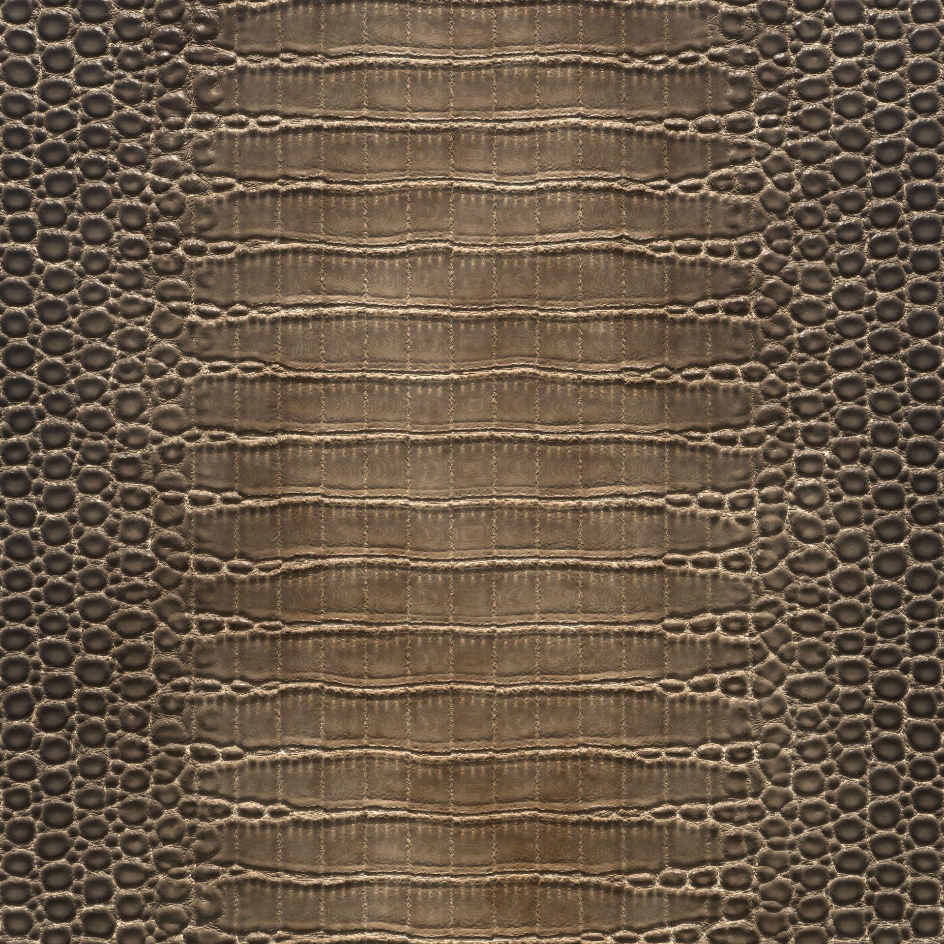 1920x1920 Brown crocodile skin