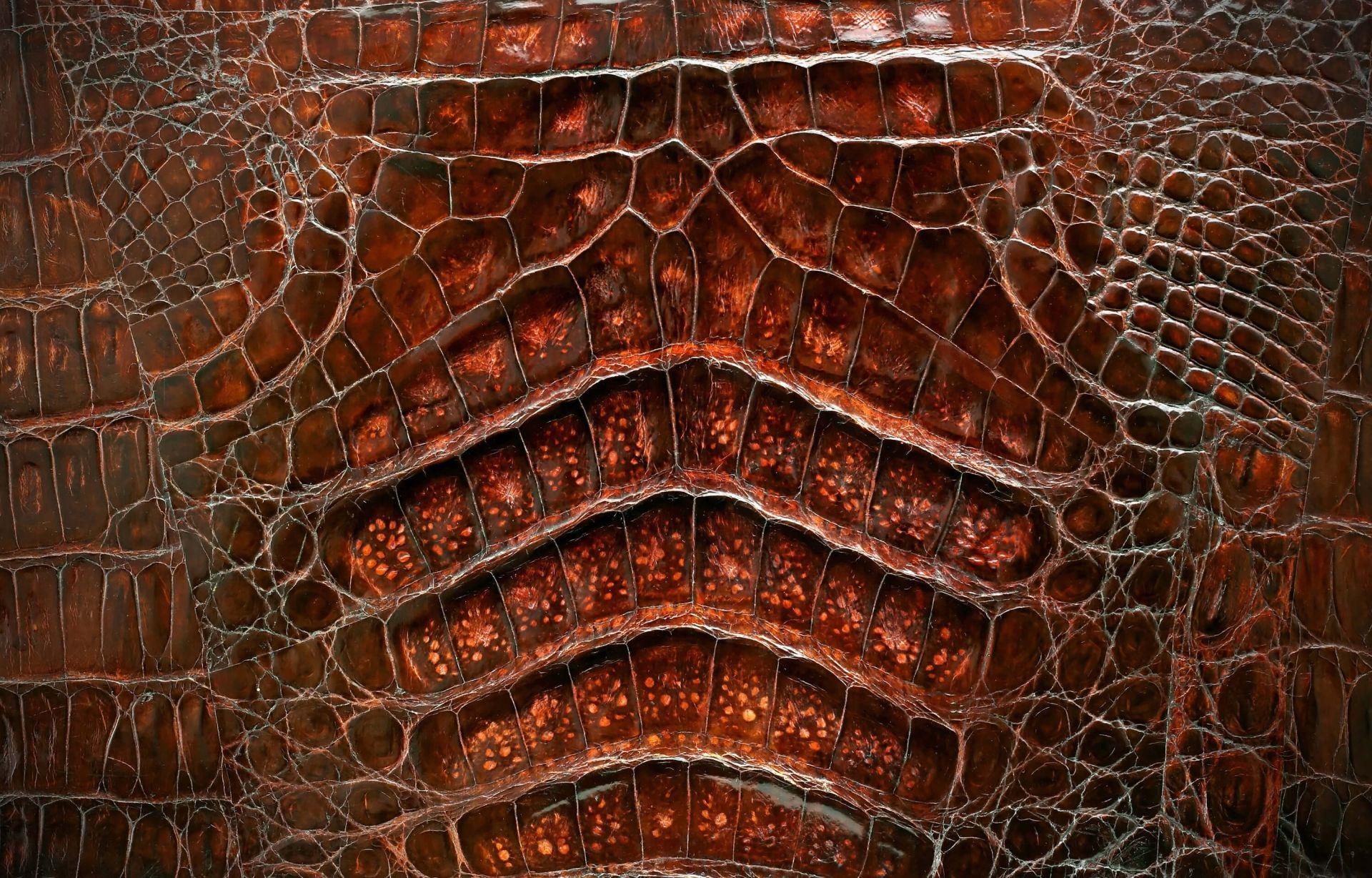 1920x1228 Crocodile skin texture