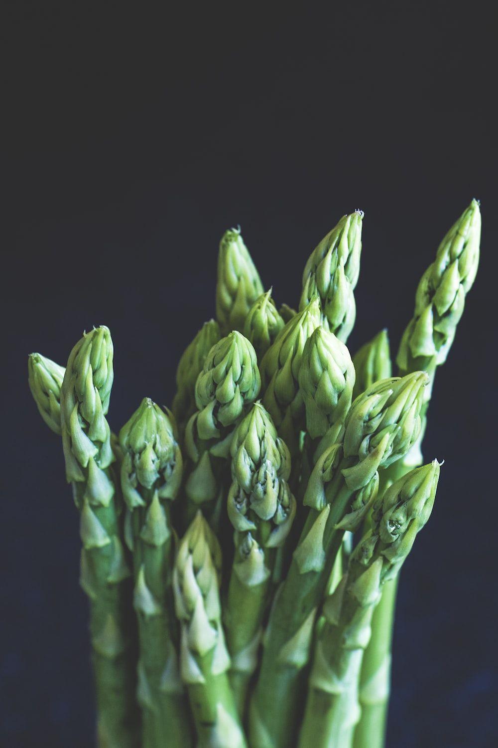1000x1500 Asparagus Picture. Download Free Image