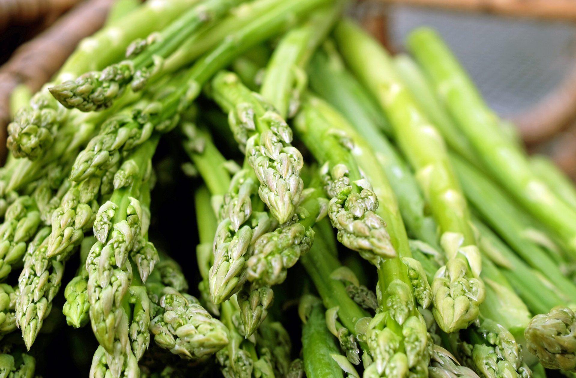 1920x1261 4K Asparagus Wallpaper and Background Image