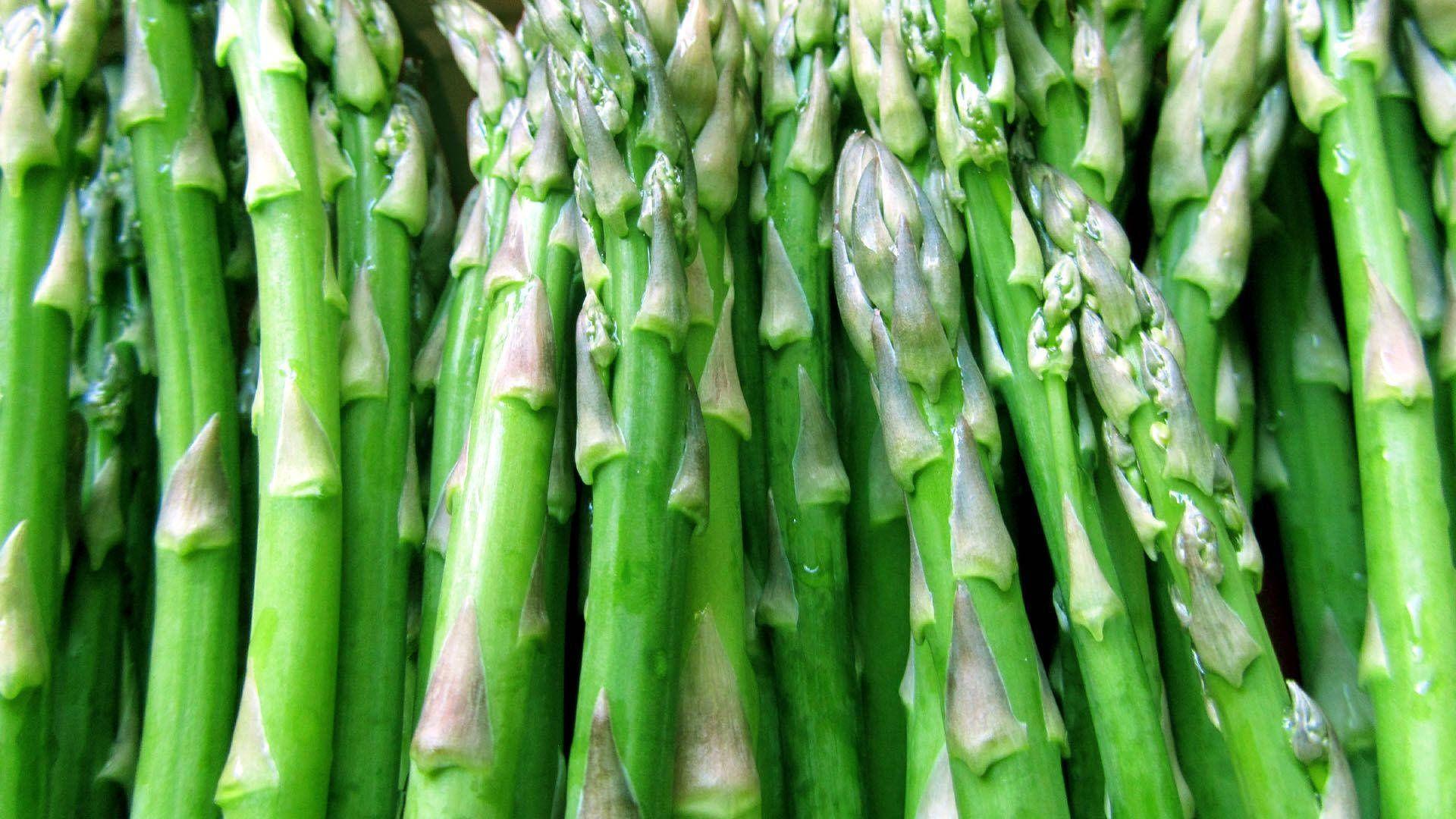 1920x1080 Download Asparagus Green Organic Herb Wallpaper