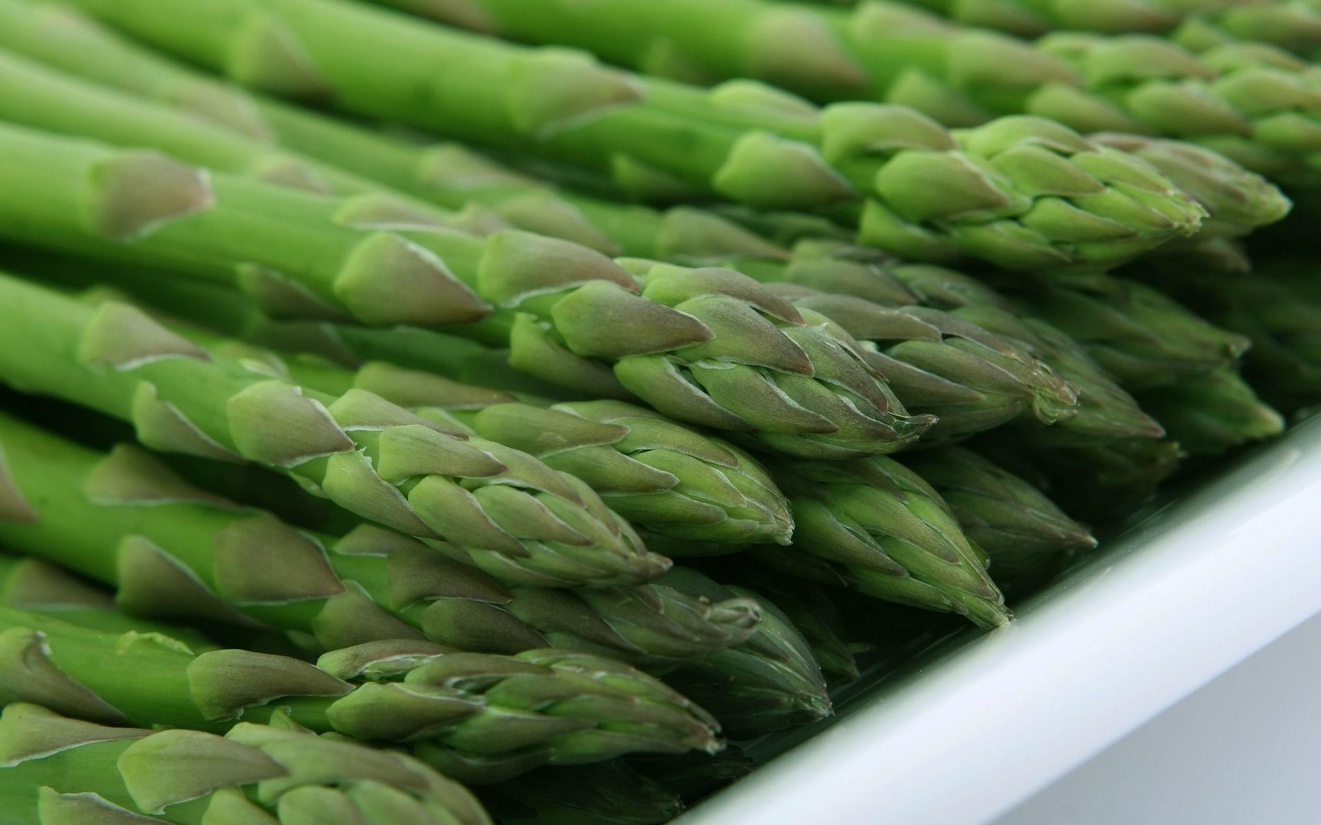1920x1200 Download Latest HD Wallpaper of, Food, Asparagus