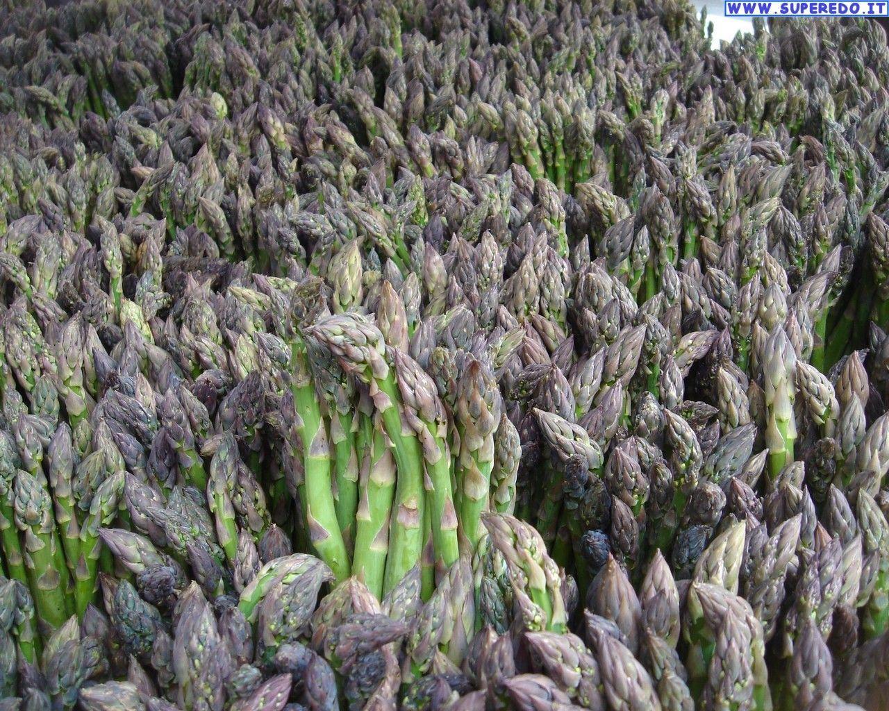 1280x1024 Asparagus Wallpaper