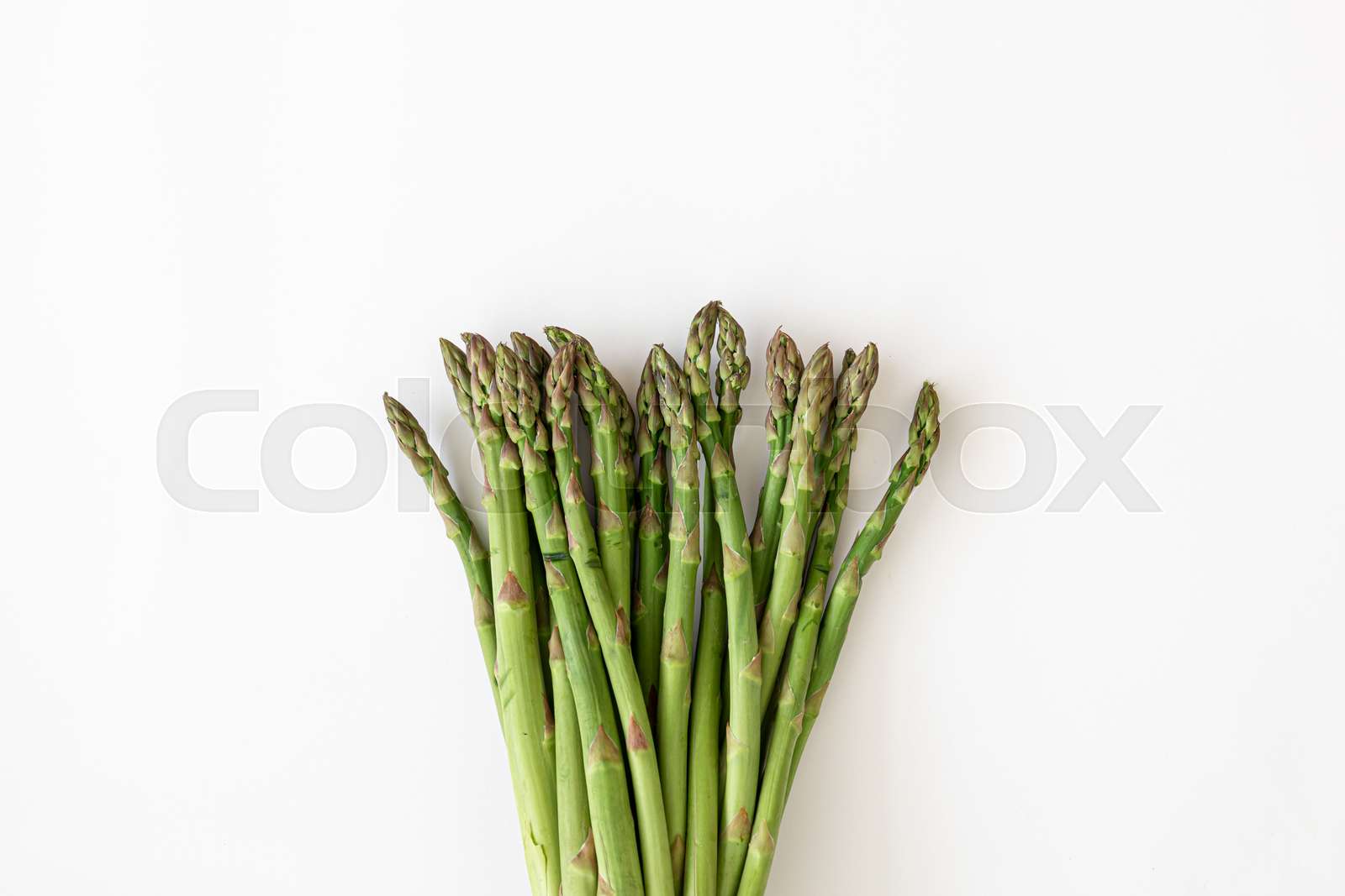 1600x1067 Fresh asparagus plant on white background, flat lay