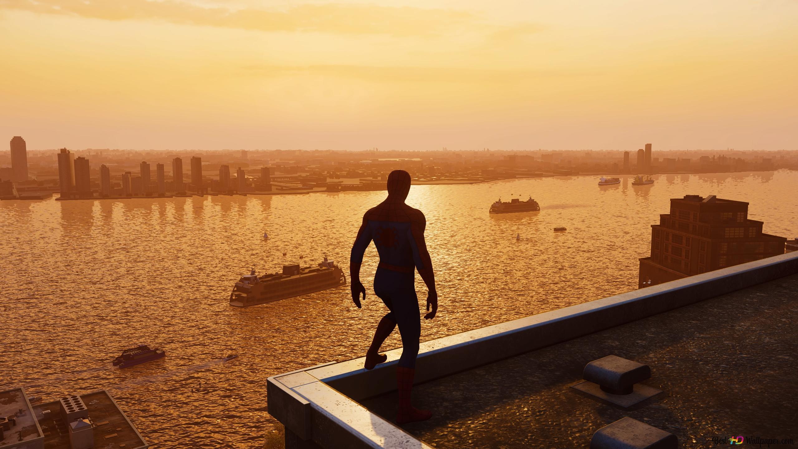 2560x1440 Sightseeing Spider Man 4K Wallpaper Download
