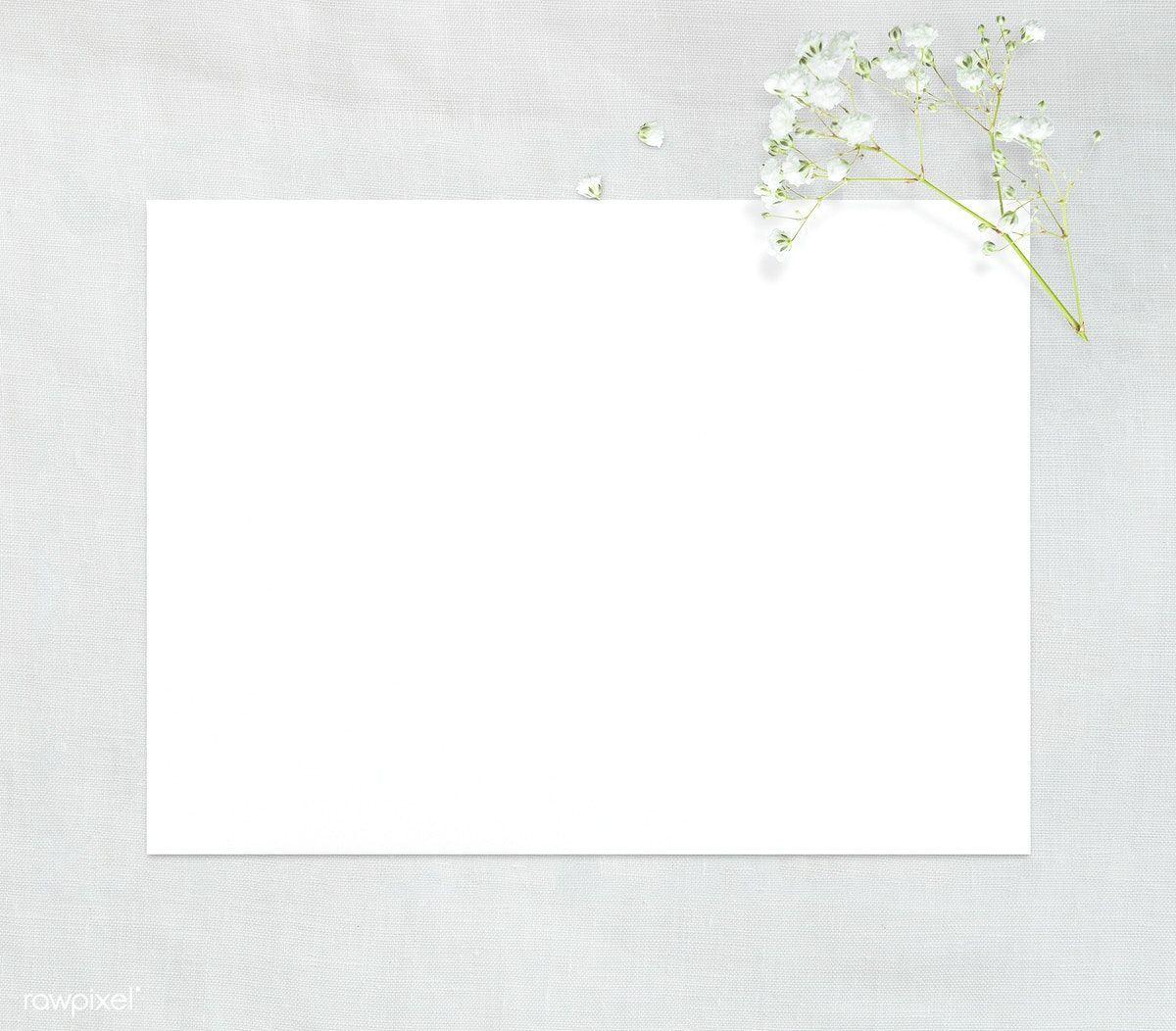 White Page Wallpapers Top Free White Page Backgrounds WallpaperAccess
