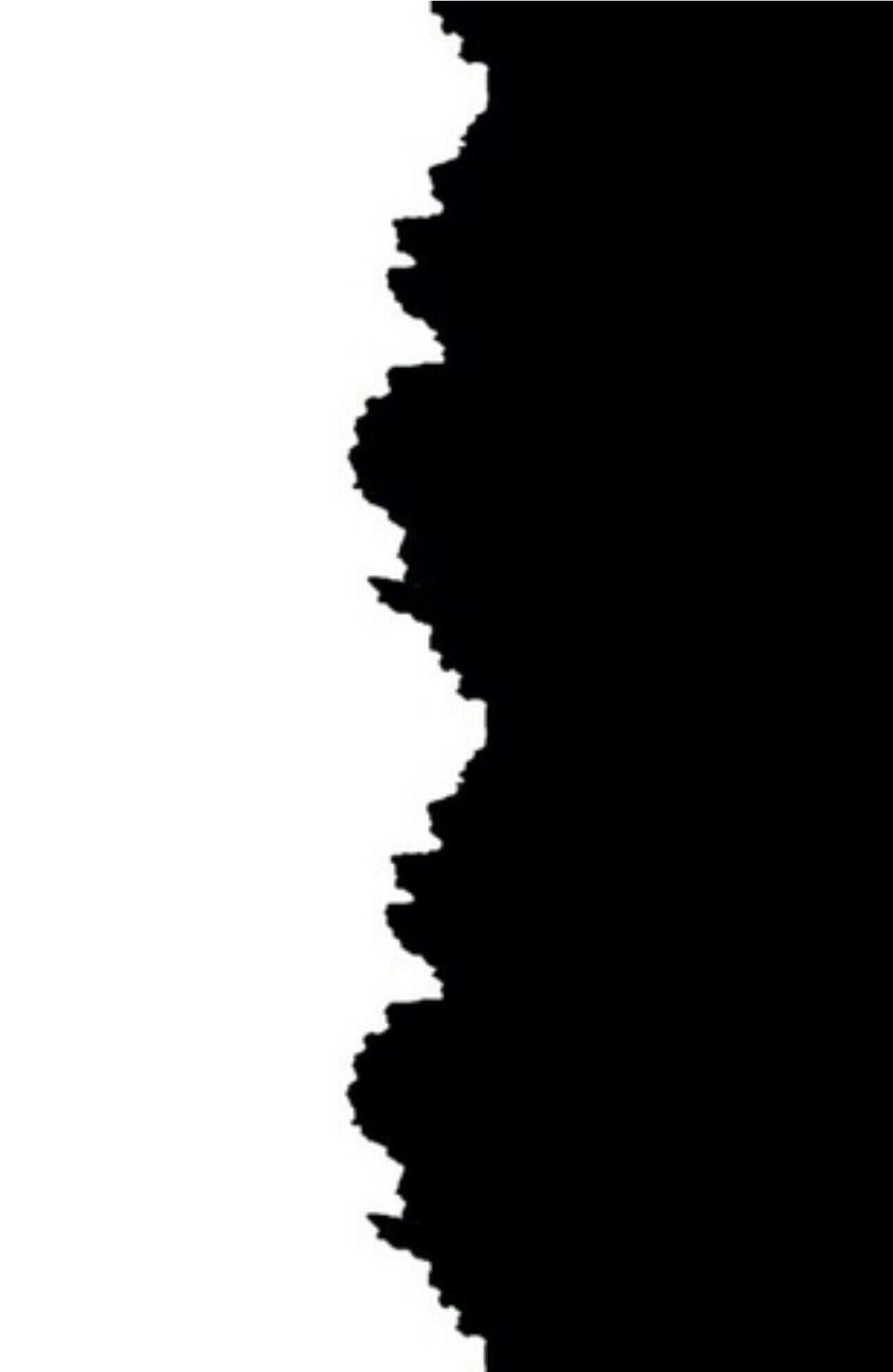 1250x1920 Half Black Half White Wallpaper