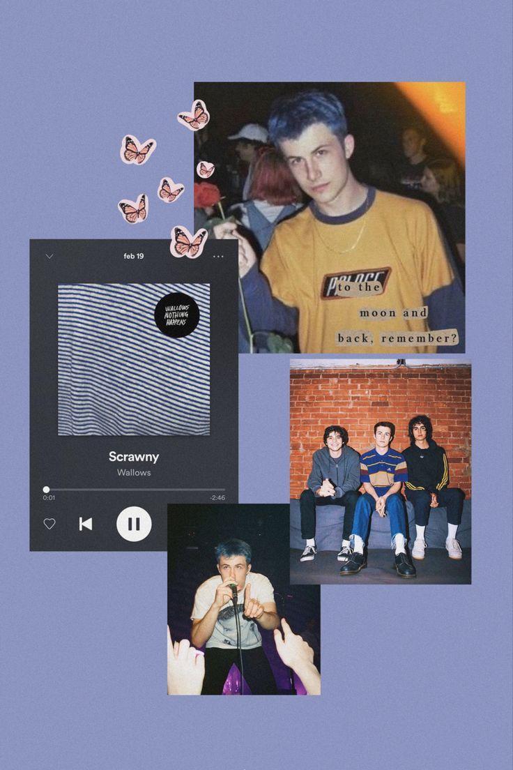 736x1104 wallows