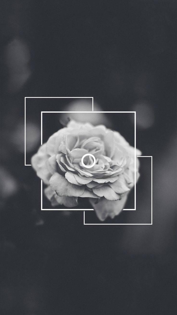 736x1308 Black Aesthetic Wallpaper
