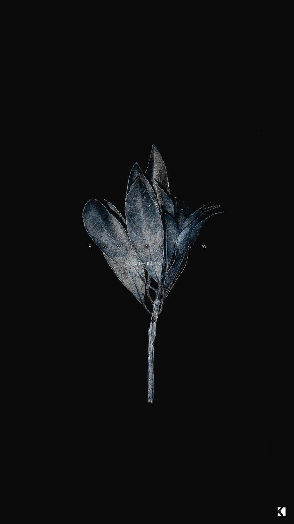 1000x1778 Dark Aesthetic Phone Wallpaper