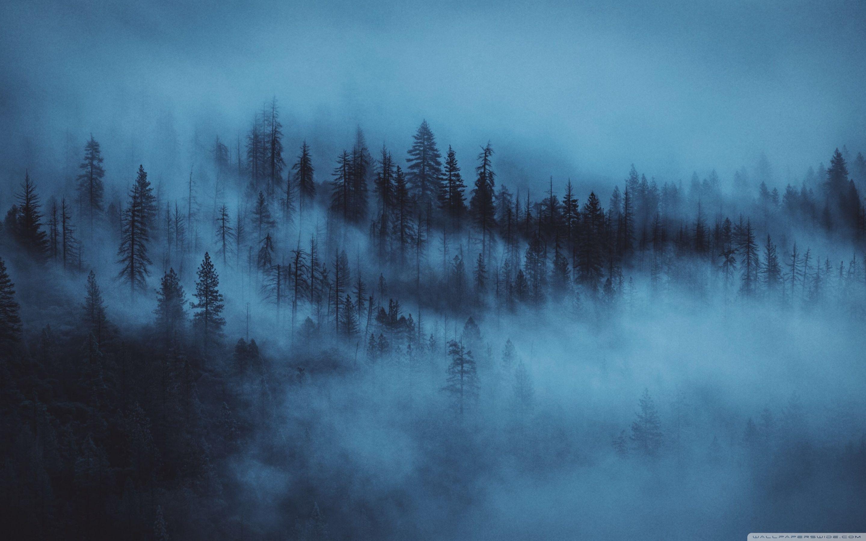2880x1800 Dark Aesthetic 4k Landscape Wallpaper