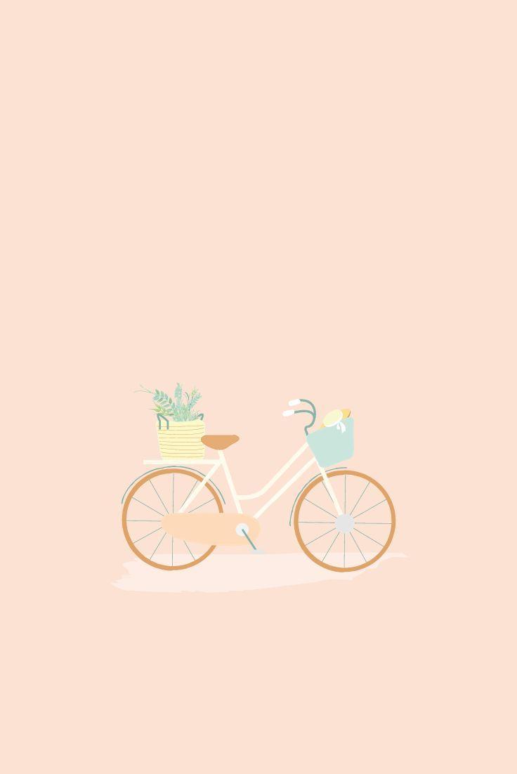 736x1102 Bike Illustration