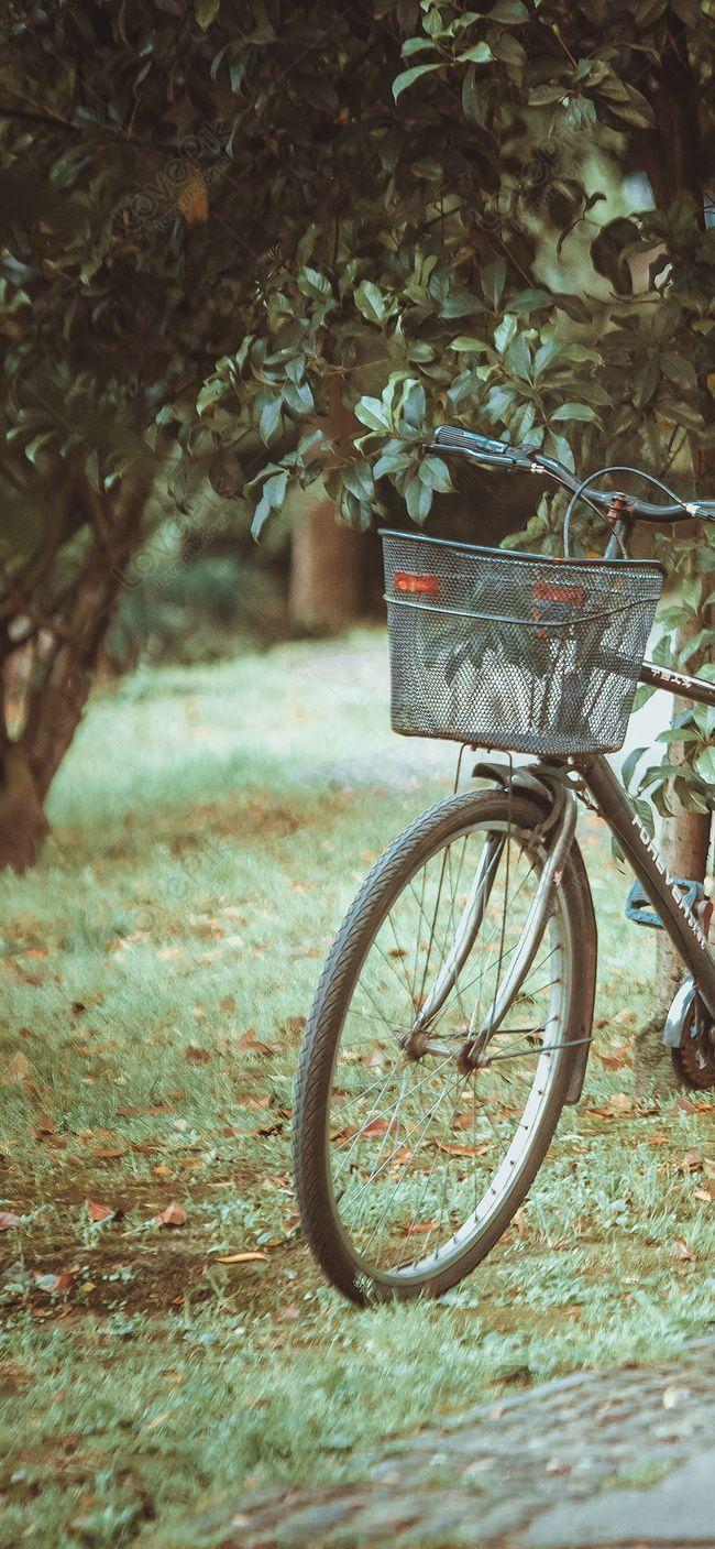 650x1407 Bicycle Mobile Phone Wallpaper In The Woods Image Free Download