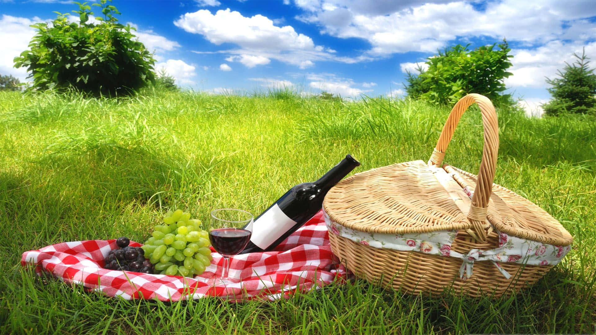 1920x1080 Download Summer Picnic With Wine Wallpaper