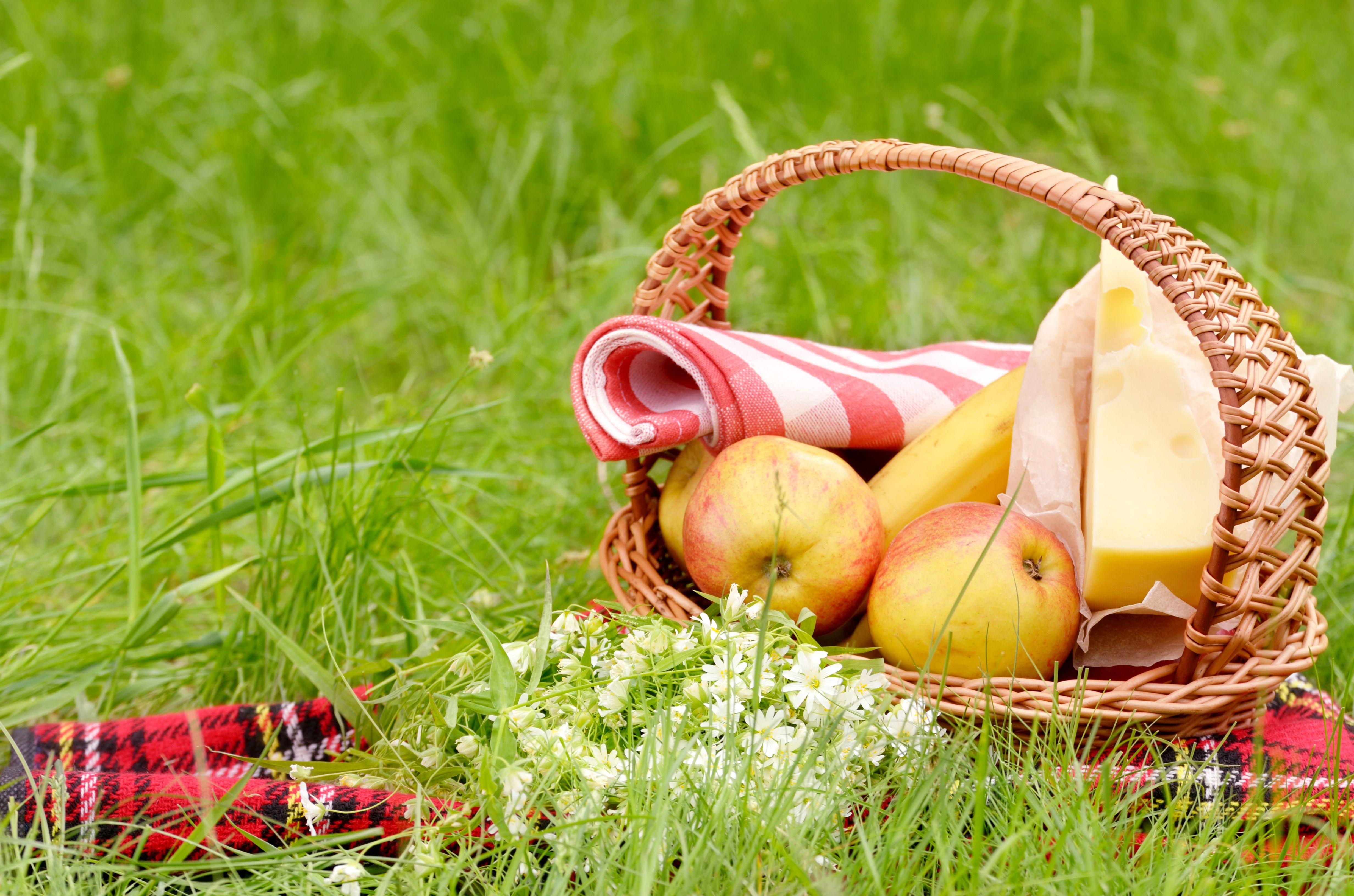 4928x3264 Summer Grass Meadow Basket Apple Cheese Flower Picnic Wallpaper:4928x3264