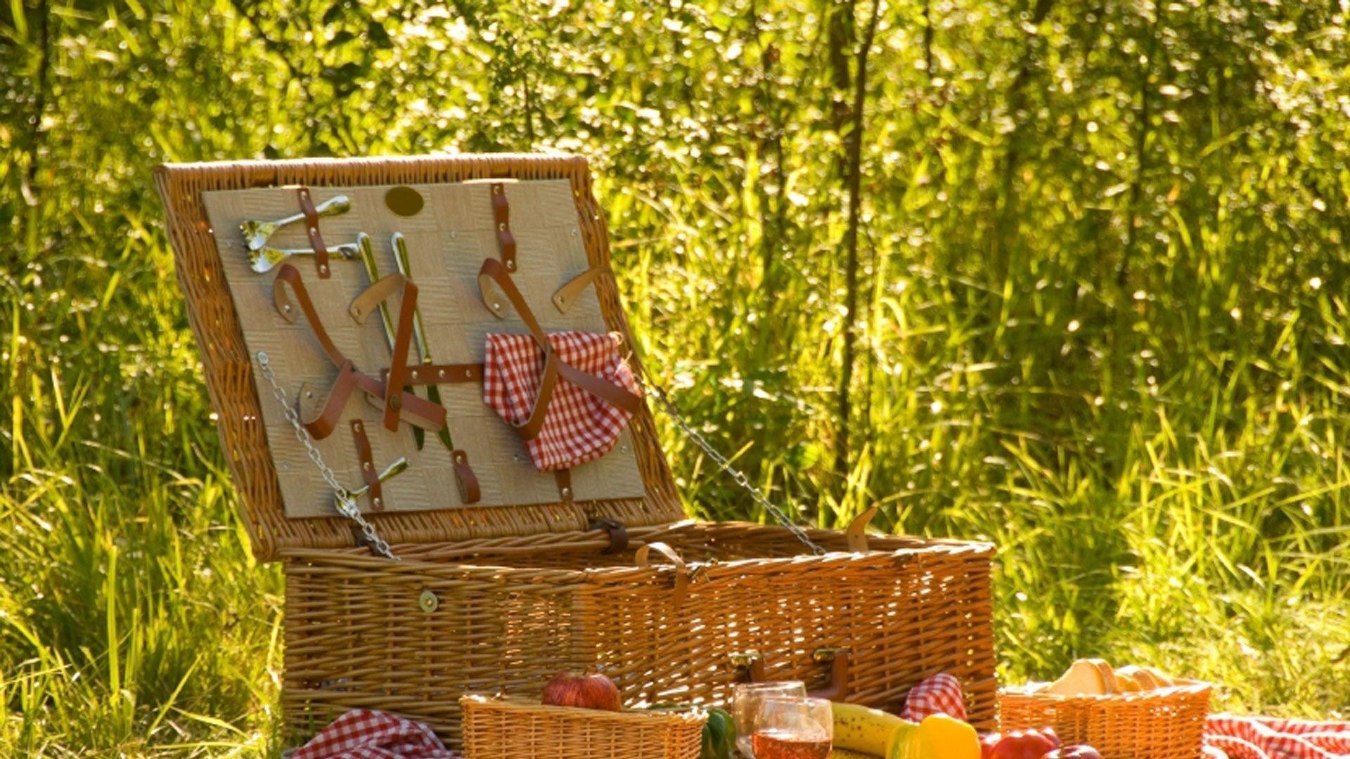 1920x1080 Five posh summer picnics summer picnic hampers places to have a picnic in London