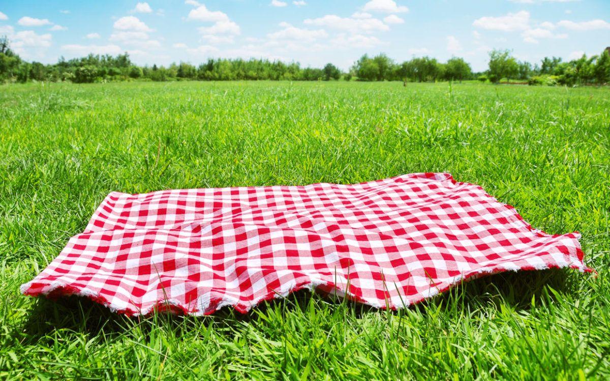 1200x750 Summer Treat: Tips for a Perfect DIY Picnic: Entertainment, Recipes, Health, Life, Holidays
