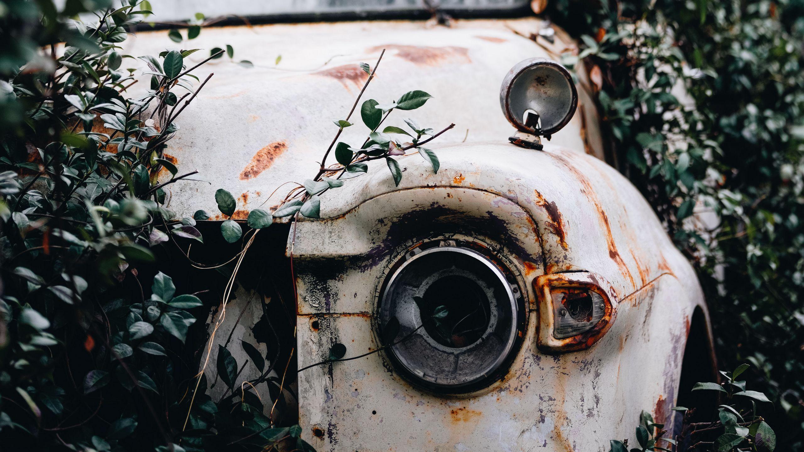 2560x1440 Download wallpaper 2560x1440 car, rust, ruins, bushes widescreen 16:9 HD background
