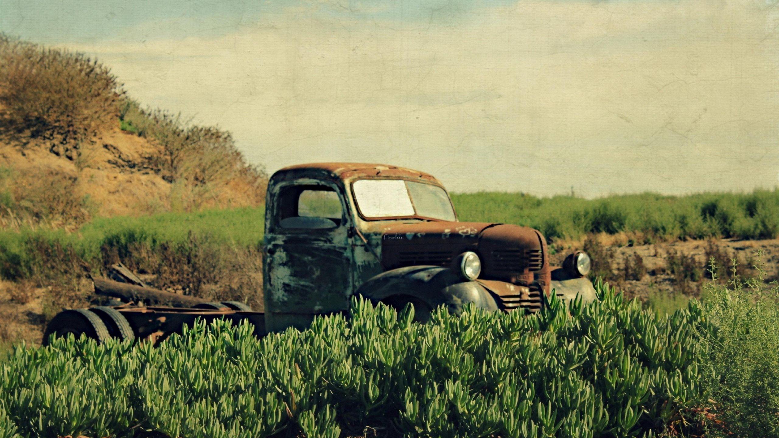 2560x1440 Rust wallpaper in 2560x1440 resolution