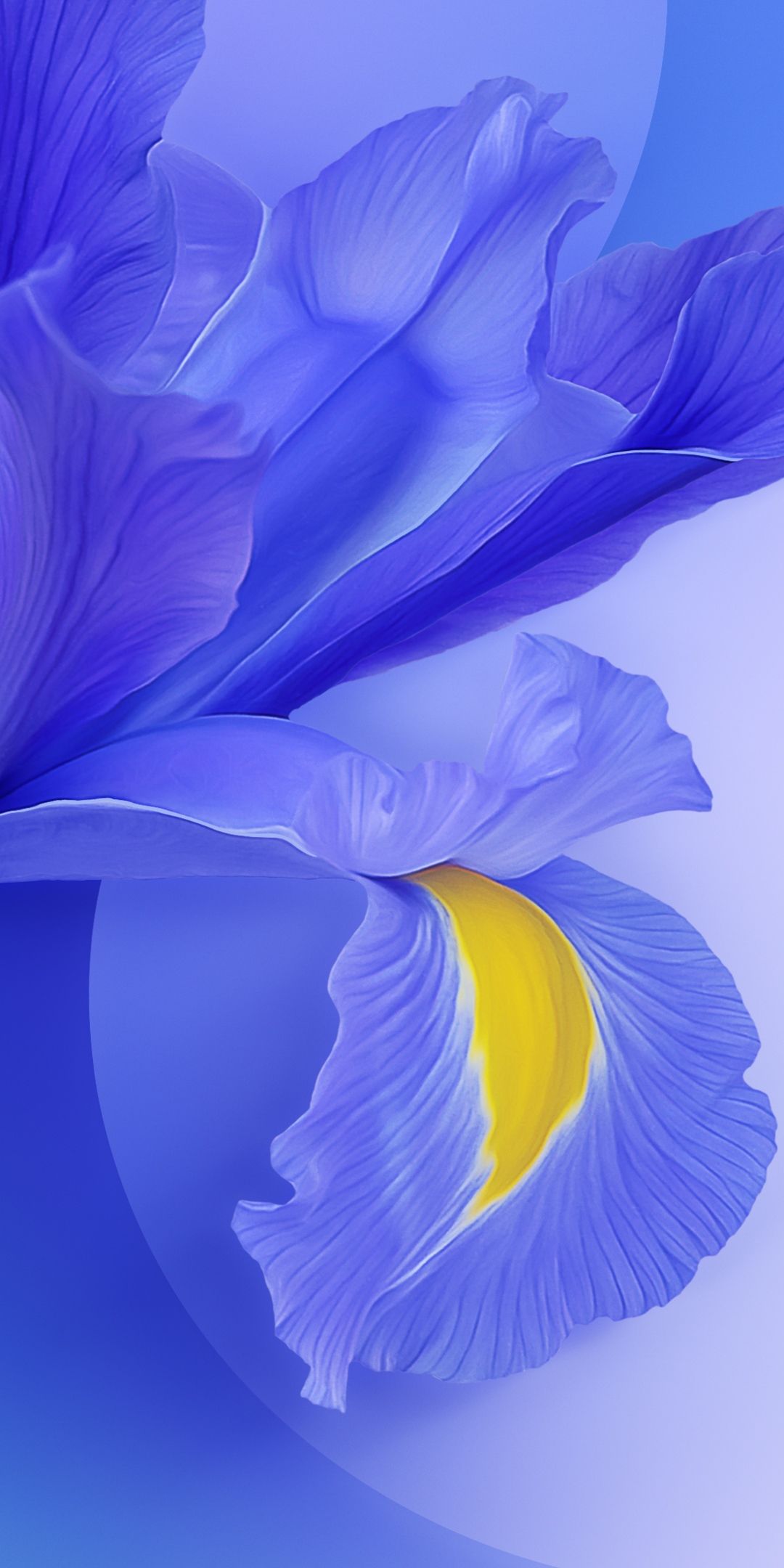 1080x2160 Xiaomi Redmi 9T Wallpaper