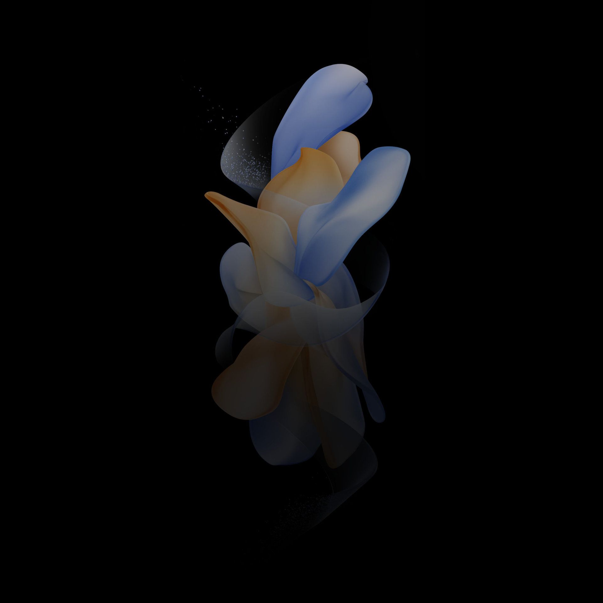 My Image 13