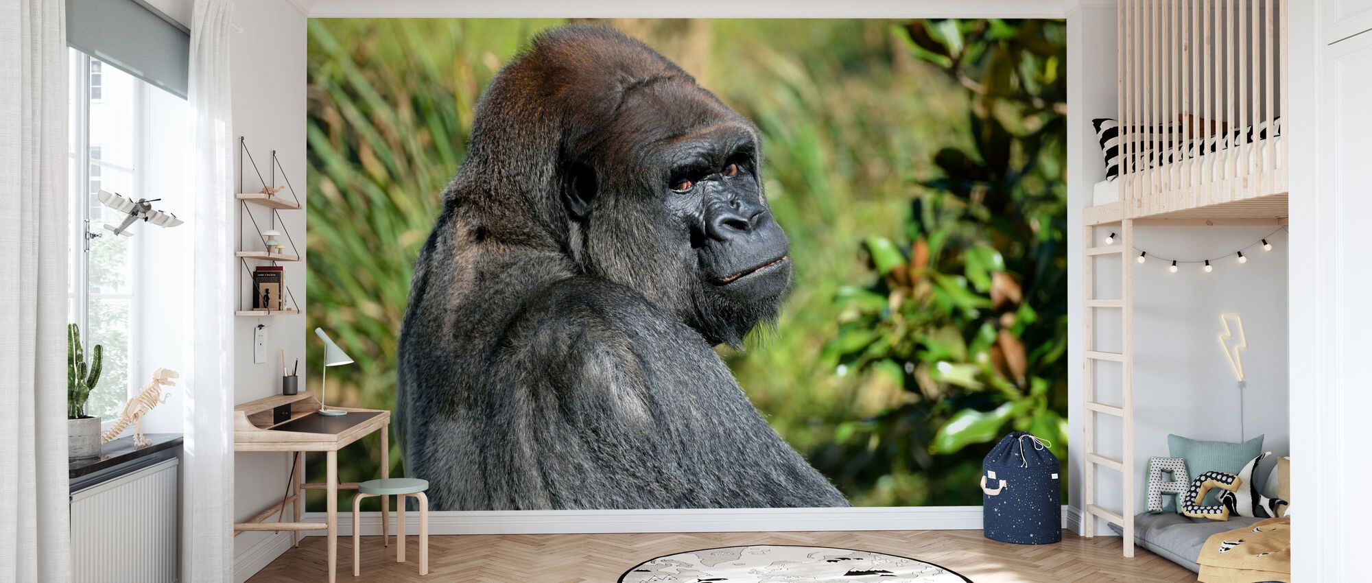 Silverback Gorilla Wallpapers - Top Free Silverback Gorilla Backgrounds ...