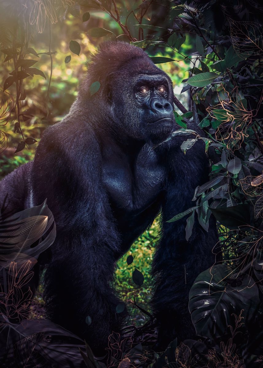 857x1200 Silverback gorilla jungle' Poster