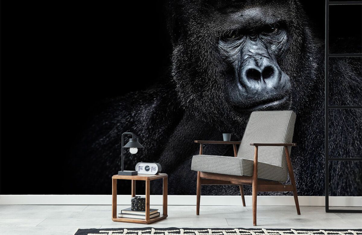 1200x780 Gorilla