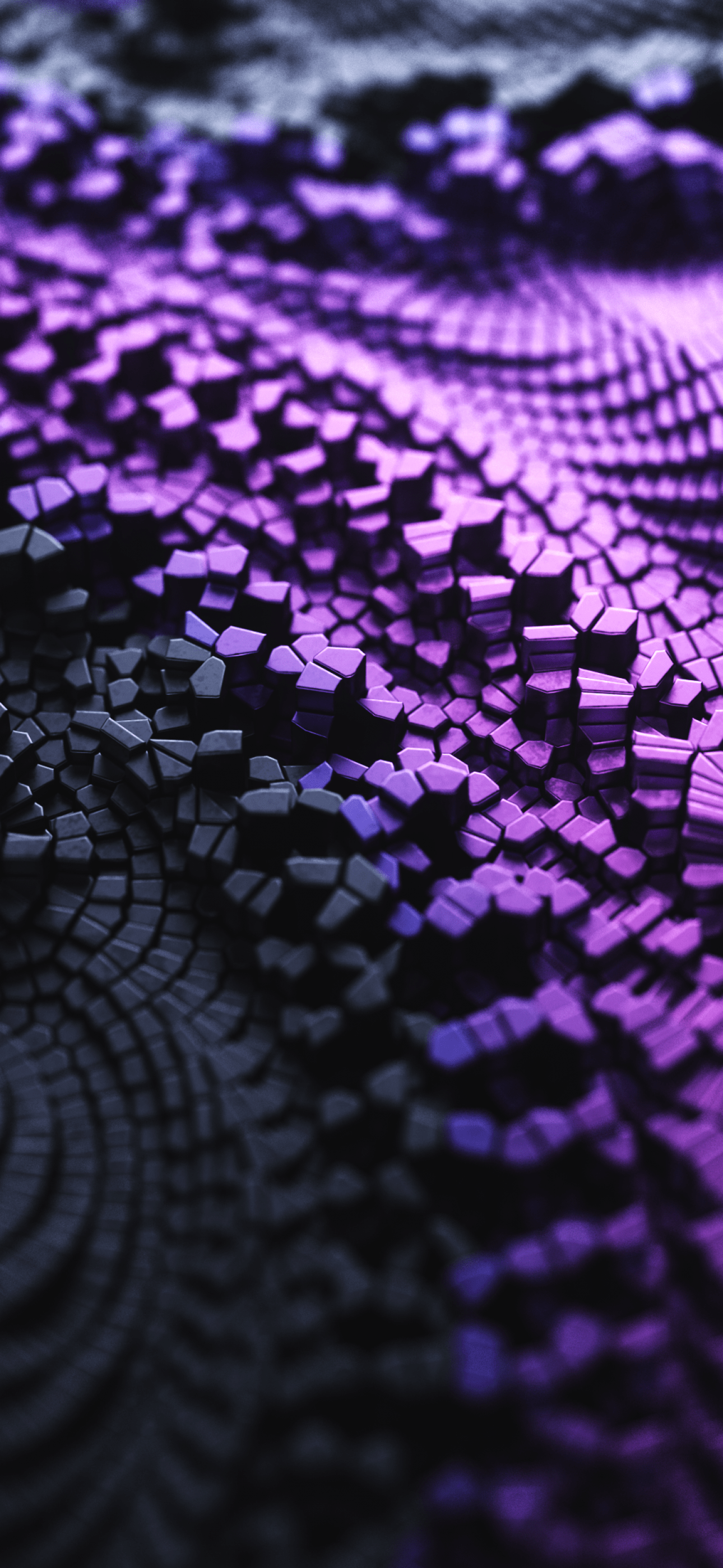 iPhone 14 Purple Wallpapers - Top Free iPhone 14 Purple Backgrounds