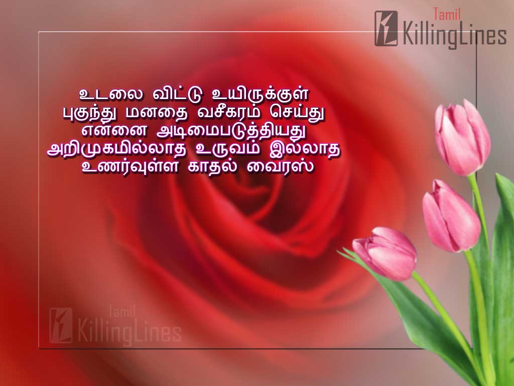 Tamil Love Wallpapers - Top Free Tamil Love Backgrounds - WallpaperAccess