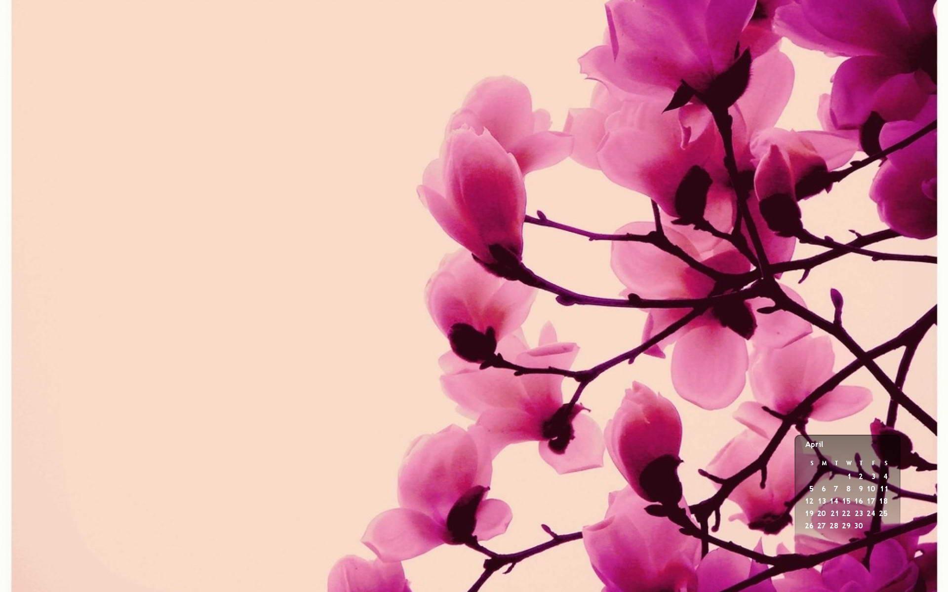 1920x1200 Cute Phone Background wallpaperx1200