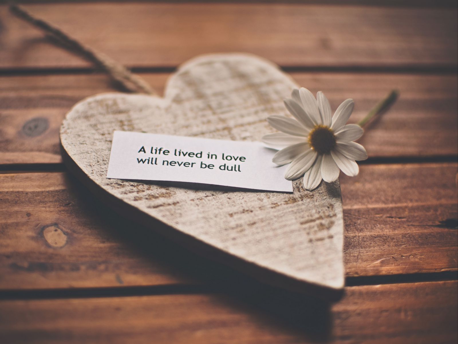 1600x1200 Download wallpaper 1600x1200 feelings, love, romance, life, recognition, speech, daisy, heart standard 4:3 HD background
