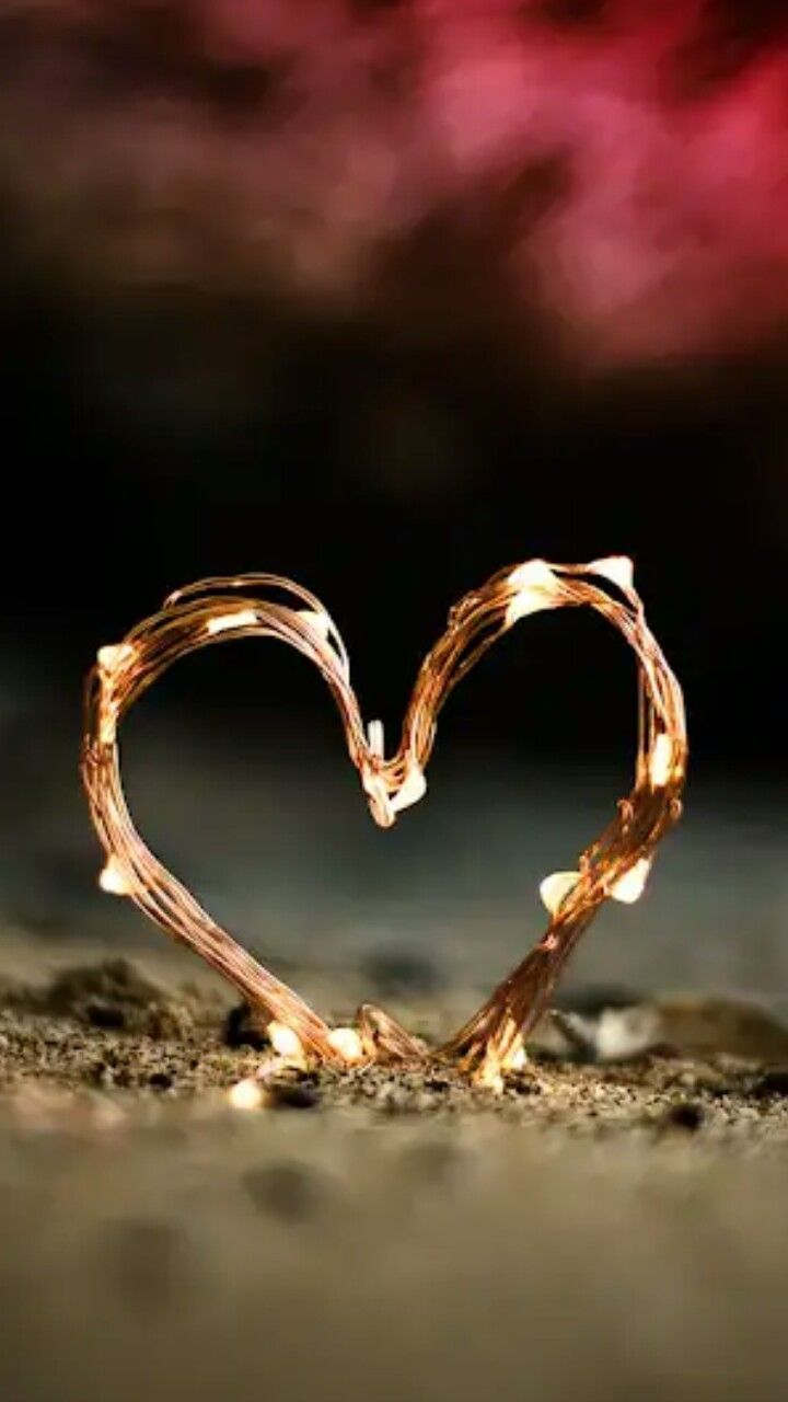 720x1280 Love is a beautiful things. Simple phone wallpaper, Flowers photography wallpaper, Beautiful profile picture