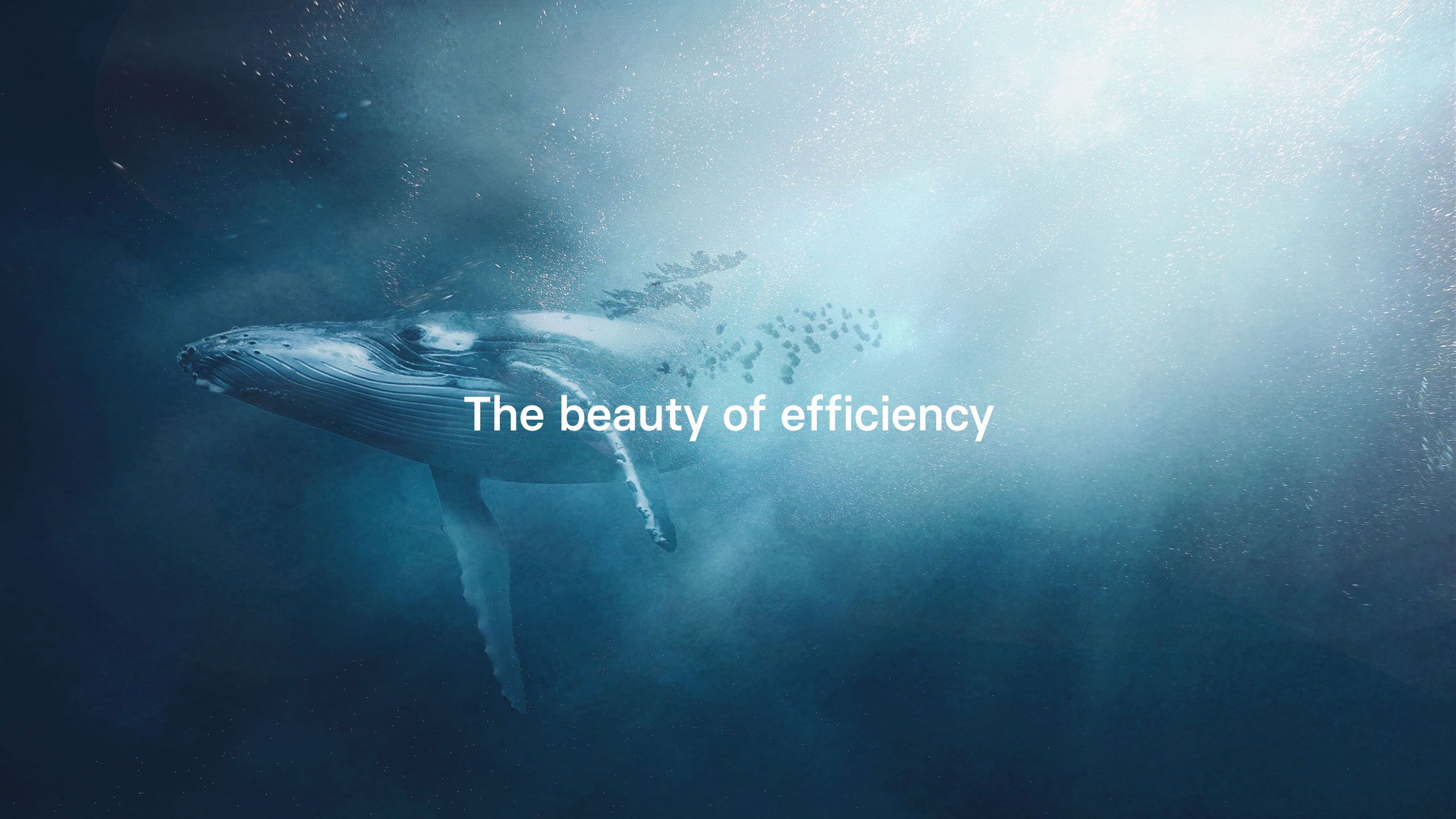 2560x1440 Earth Day 2023