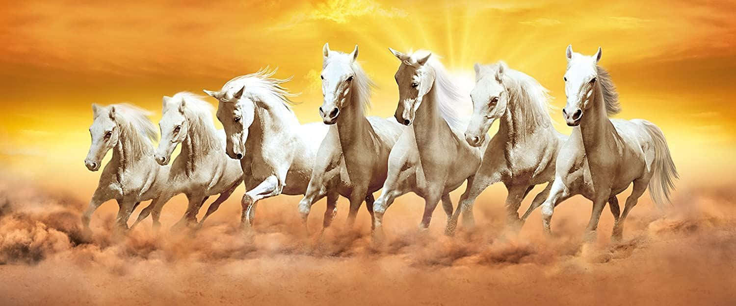 1500x625 7 Horses Wallpaper