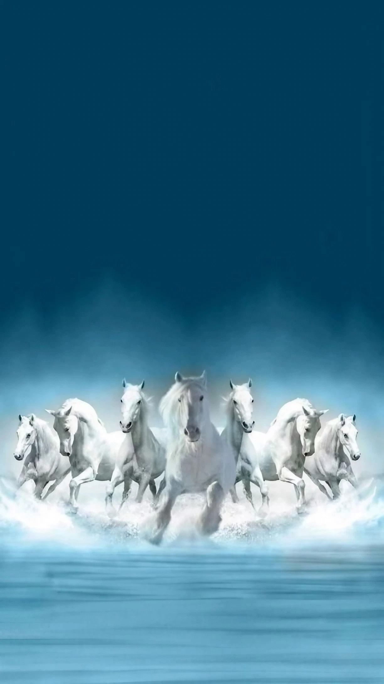 7 White Horse Wallpapers - Top Free 7 White Horse Backgrounds