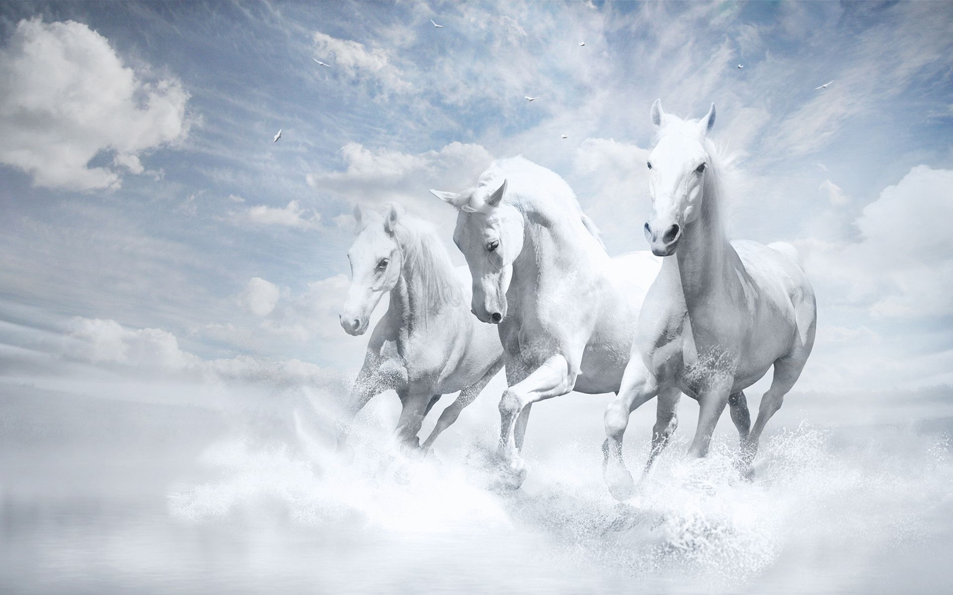 1920x1200 Desktop Wallpaper Horses