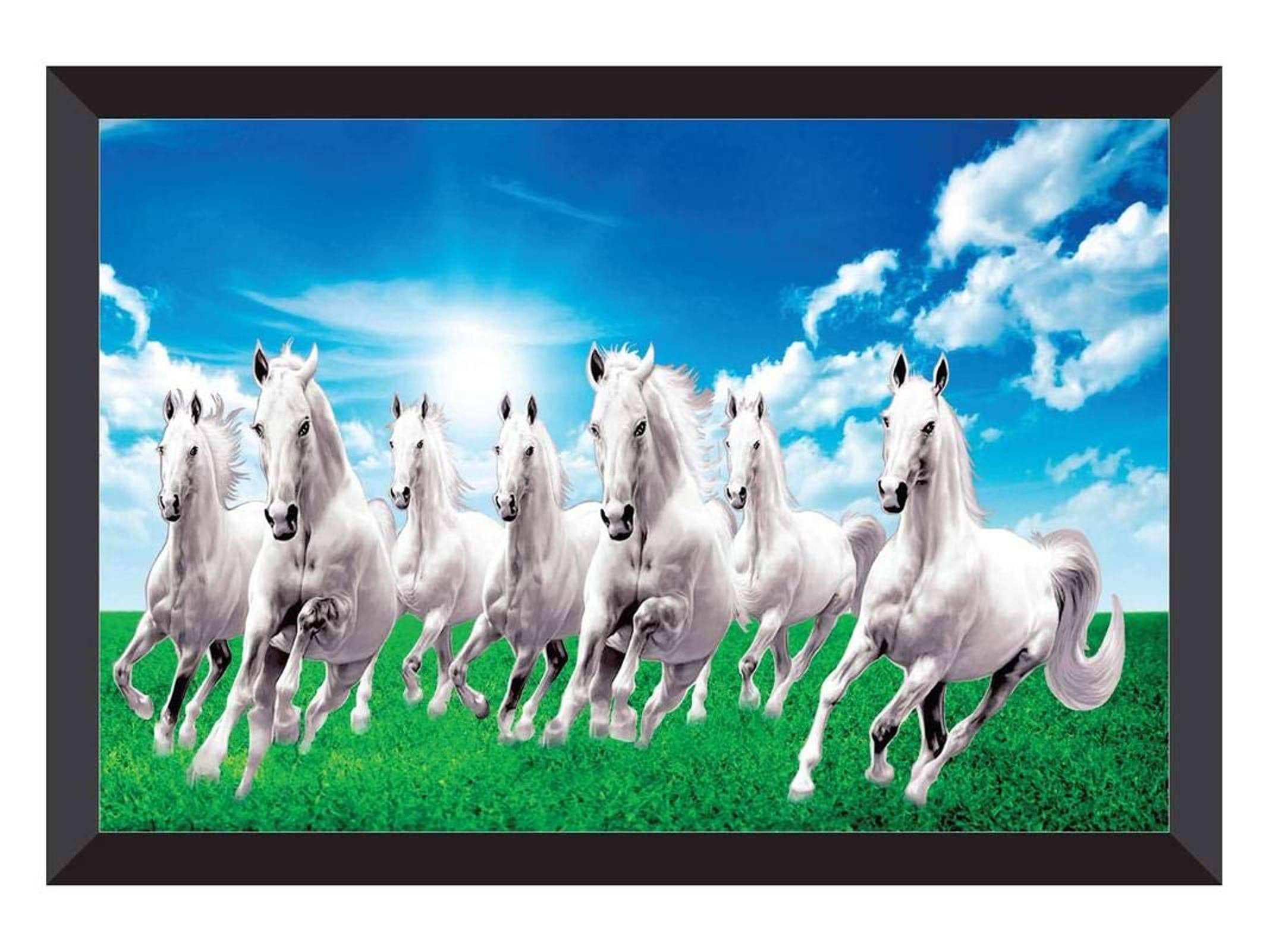 7 White Horse Wallpapers Top Free 7 White Horse Backgrounds