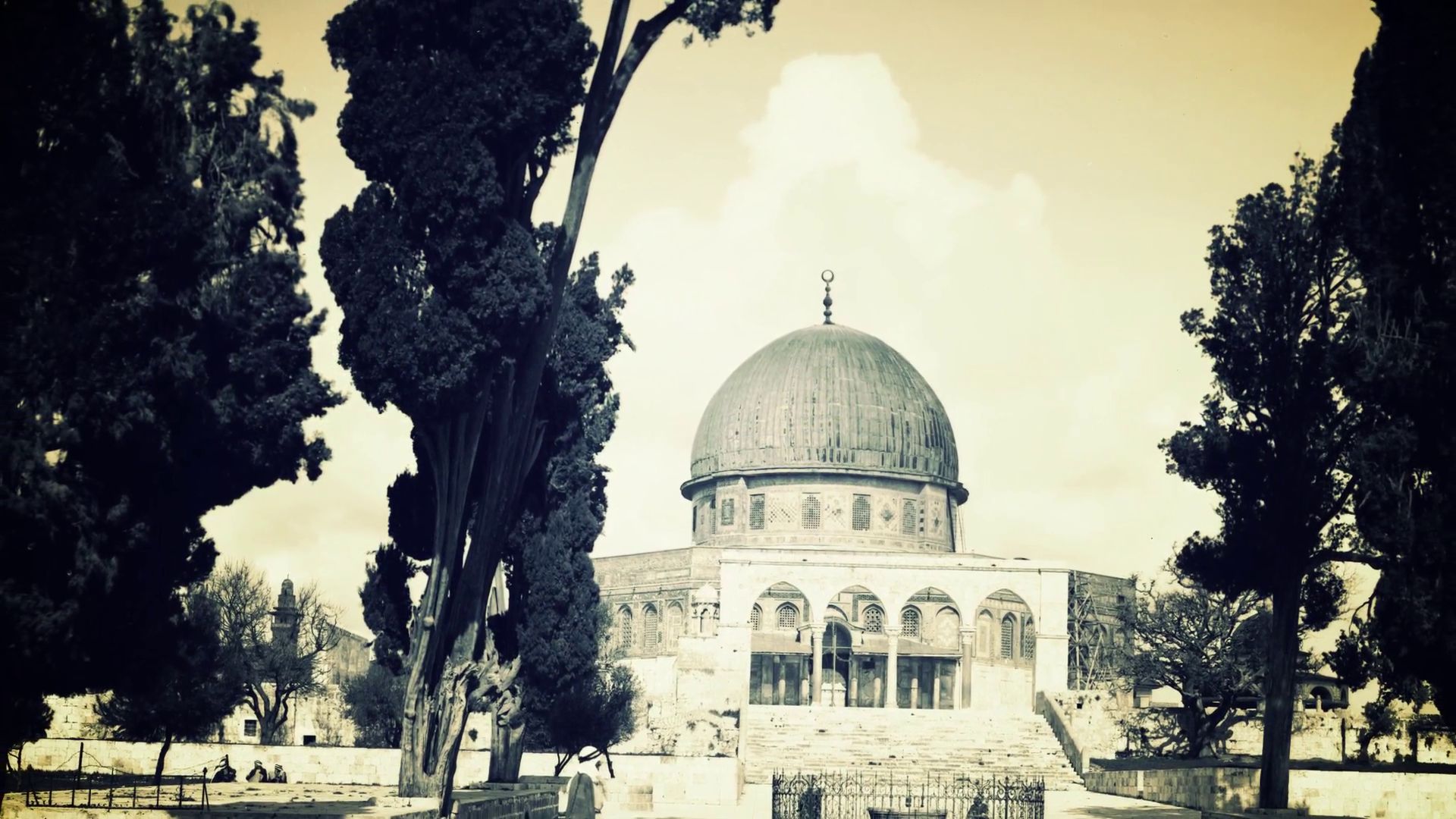 1920x1080 Download Palestine wallpaper for mobile phone, free Palestine HD picture