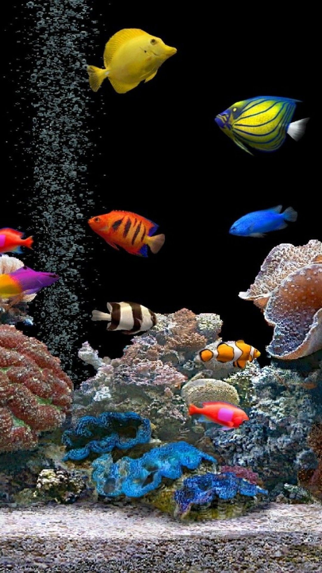1080x1920 Live Fish Wallpaper