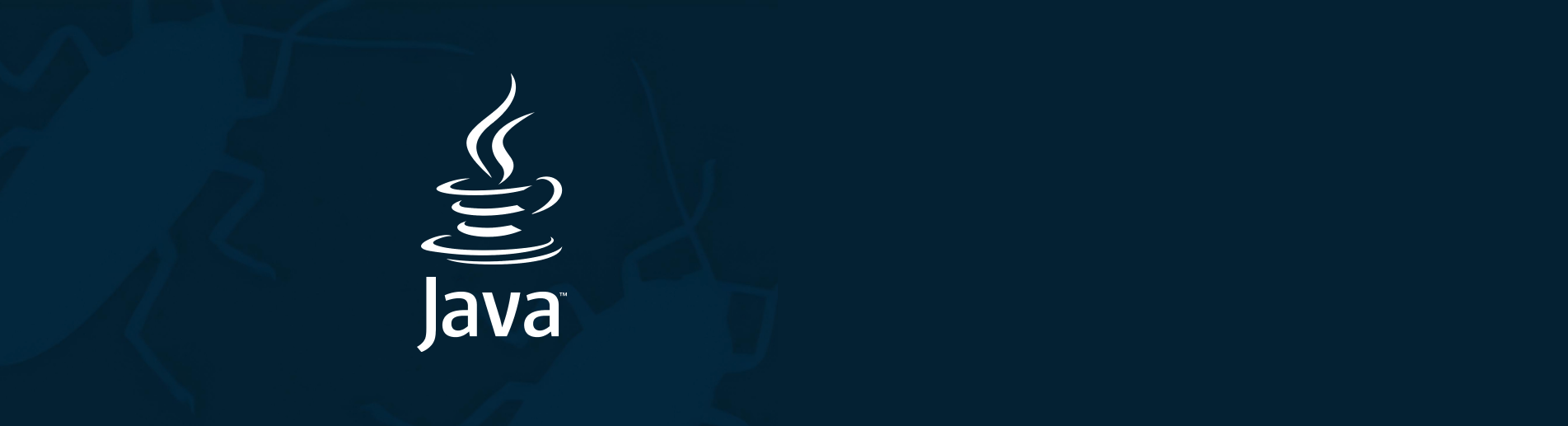 1903x517 Custom Java Development Services & Tech