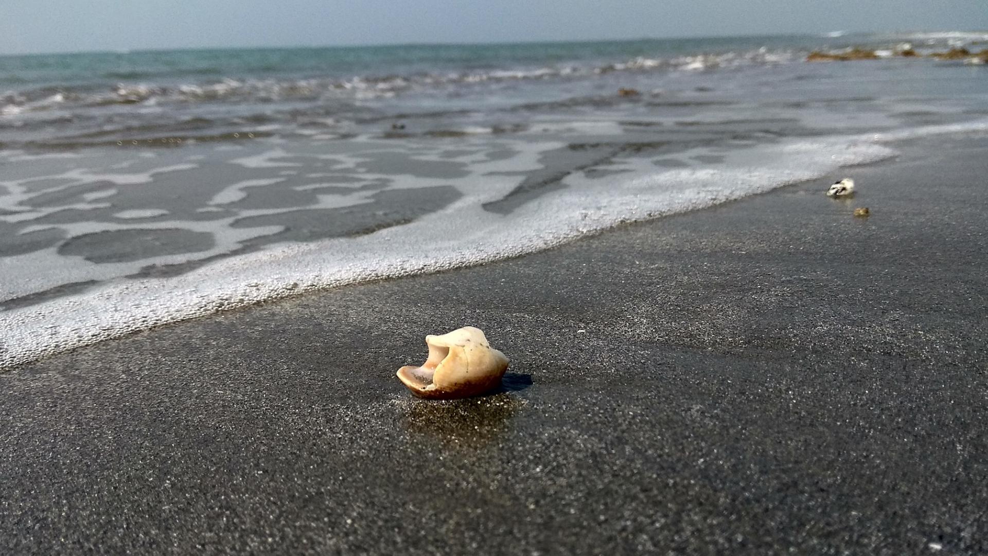 1920x1080 Cox's Bazar- The Longest Sea Beach in the World [1920*1080]