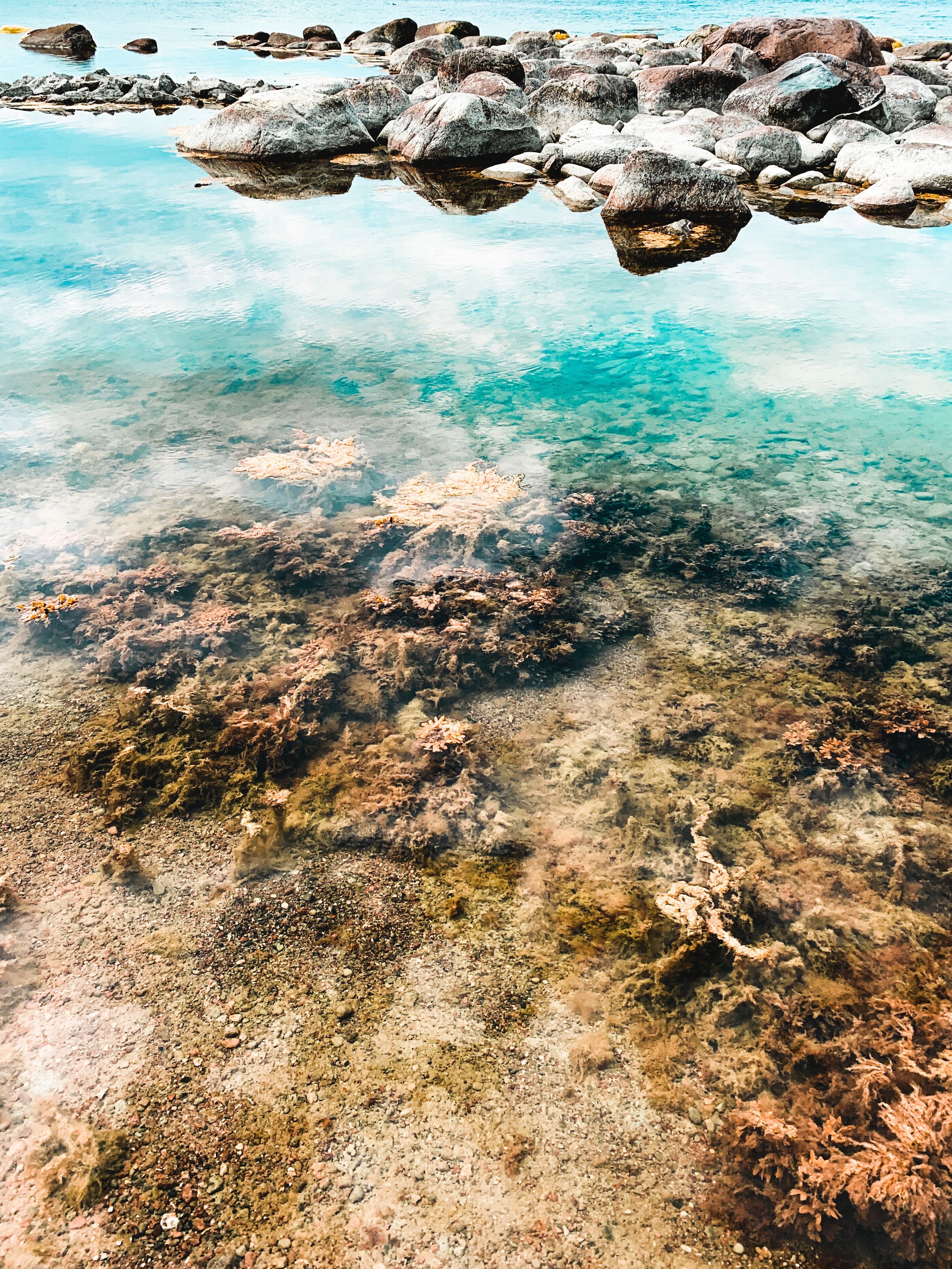 2812x3749 Inani Beach. Cox's Bazar. Bangladesh. Coral Stone Photo, Download The BEST Free Inani Beach. Cox's Bazar. Bangladesh. Coral Stone & HD Image